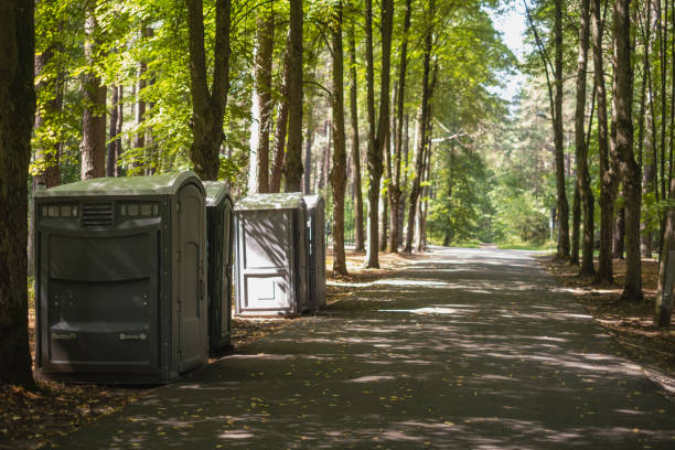 Best Portable bathroom rental  in Pine City, MN