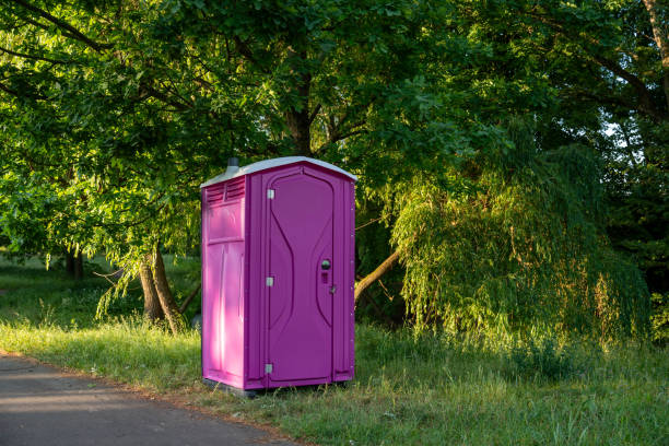 Best Wedding porta potty rental  in Pine City, MN